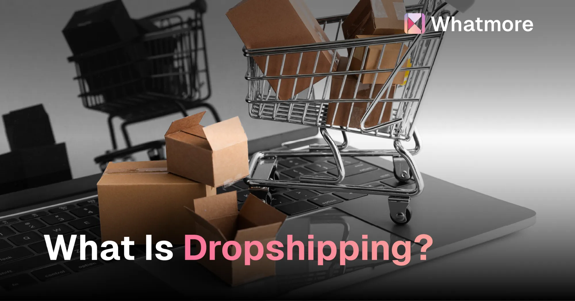What Is Dropshipping In 2024?
